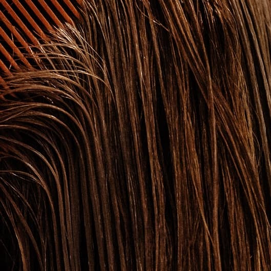 The Studio Pass at Free To Be Me Hair Studio in Appleton, WI